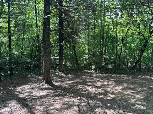 1 Mullins Cove Road, Whitwell, TN 37397