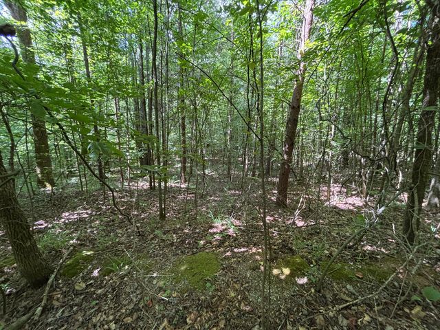 1 Mullins Cove Road, Whitwell, TN 37397