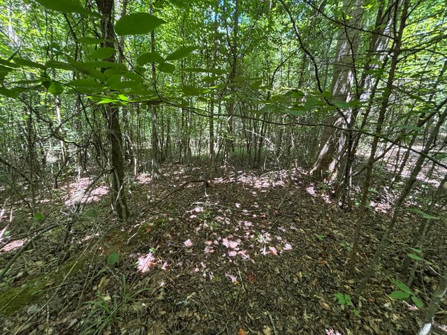 1 Mullins Cove Road, Whitwell, TN 37397