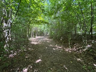 1 Mullins Cove Road, Whitwell, TN 37397
