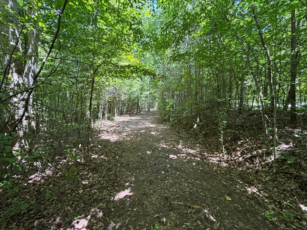 1 Mullins Cove Road, Whitwell, TN 37397