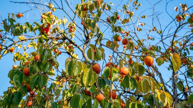 1130 Duer Rd, Sebastopol, CA 95472