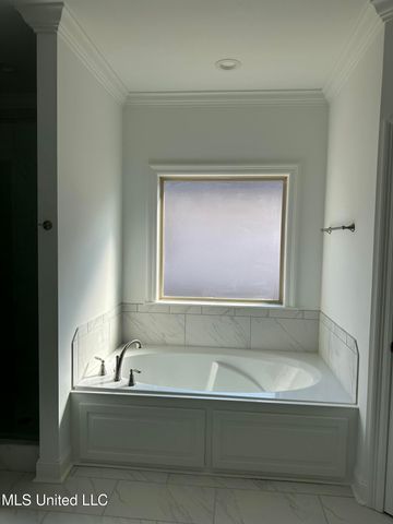 371 Wellstone Place, Madison, MS 39110