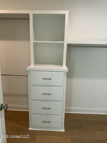 371 Wellstone Place, Madison, MS 39110