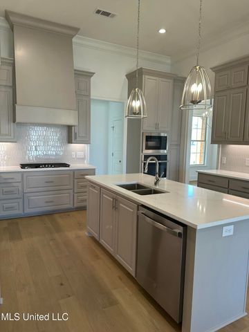 371 Wellstone Place, Madison, MS 39110