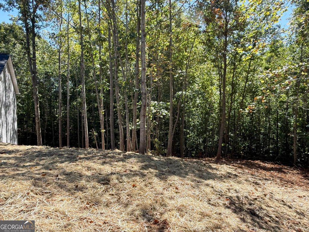 569 Day Star Lane, Mount Airy, GA 30563 — photo 3