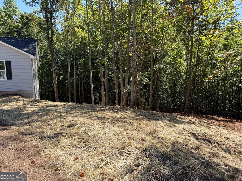 569 Day Star Lane, Mount Airy, GA 30563 — photo 4