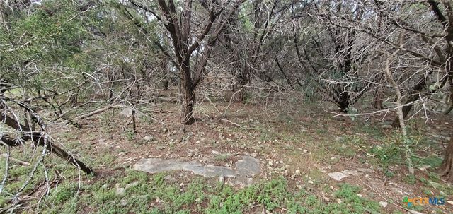 15968 & 15974 Brazos Drive, Temple, TX 76502