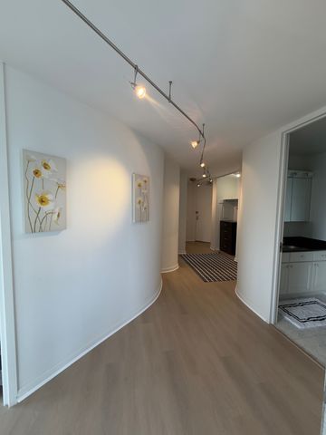 405 N Wabash Avenue 4704, Chicago, IL 60611