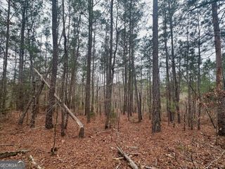 0 Rock Quarry Rd 35.55 Acres +/-, Yatesville, GA 31097