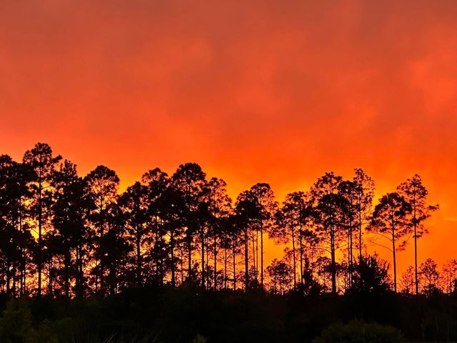 62 Tamoka Court, Inlet Beach, FL 32461