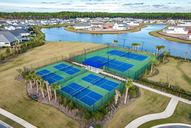 62 Tamoka Court, Inlet Beach, FL 32461