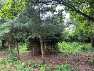 Lot 21 Country Club Drive, Kankakee, IL 60901
