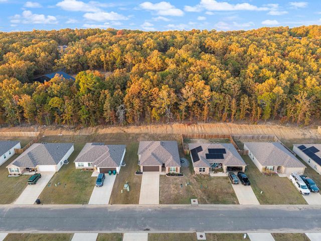 23 Barn Cat Way, Conway, AR 72032