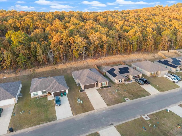 23 Barn Cat Way, Conway, AR 72032