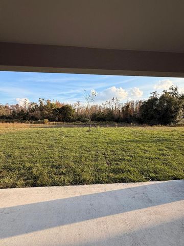 17602 PLEASANTVIEW BOULEVARD, Land O Lakes, FL 34638