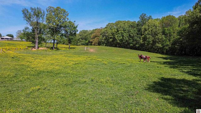 715 CORINTH CHURCH RD., Grand Rivers, KY 42025