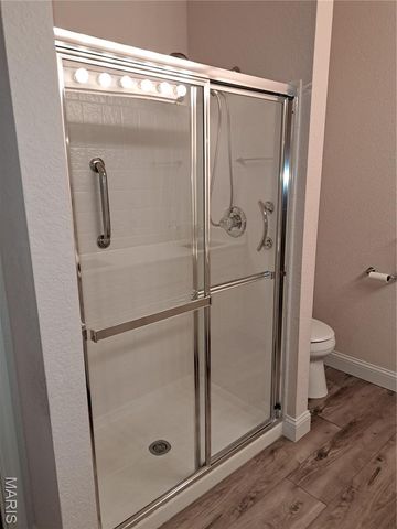 1540 Lienemann Drive 21, St Peters, MO 63303