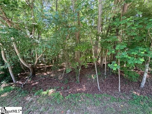 44 Carolina Way, Fountain Inn, SC 29633