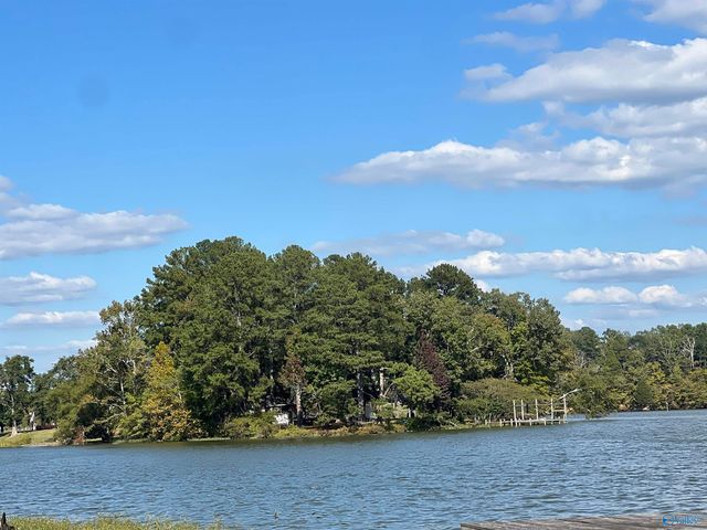 Lot 2, Tract 3 Summer Breeze Drive, Cedar Bluff, AL 35959