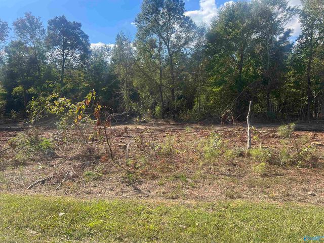 Lot 2, Tract 3 Summer Breeze Drive, Cedar Bluff, AL 35959