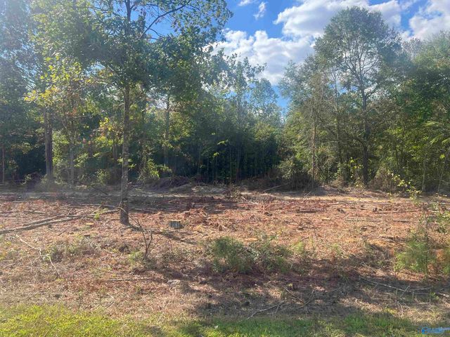 Lot 2, Tract 3 Summer Breeze Drive, Cedar Bluff, AL 35959