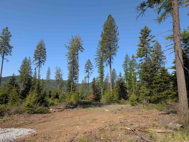 NKN Lot 1 Veit Rd, Newport, WA 99156