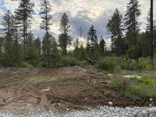 NKN Lot 1 Veit Rd, Newport, WA 99156