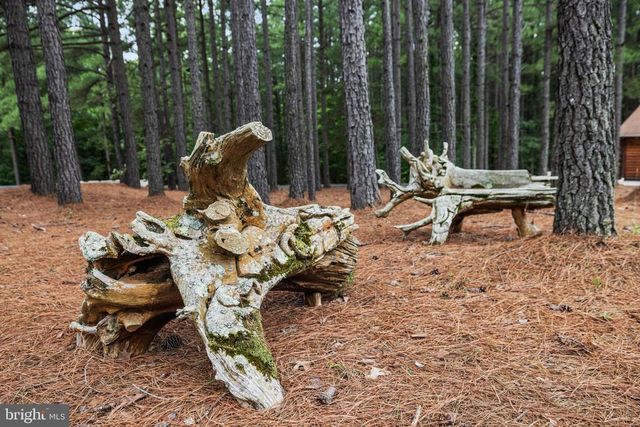 362 DELL PERKINS RD, Louisa, VA 23093