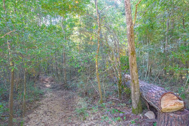 0000 River Creek Rd, Cleveland, TX 77328