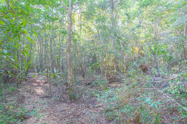 0000 River Creek Rd, Cleveland, TX 77328