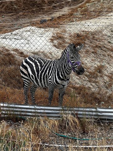 300 Anderson, Hemet, CA 92544