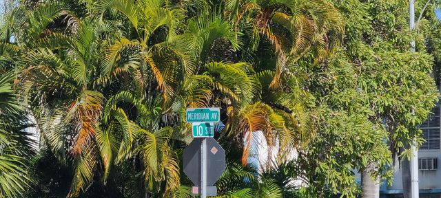 1000 Meridian Avenue 3, Miami Beach, FL 33139