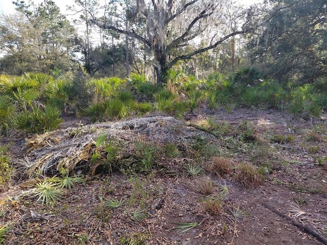 4311 GARDENIA DRIVE, Indian Lake Estates, FL 33855