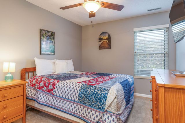 3 Treehouse Lane 1, Indian Point, MO 65616