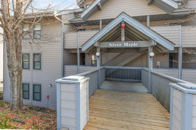 3 Treehouse Lane 1, Indian Point, MO 65616