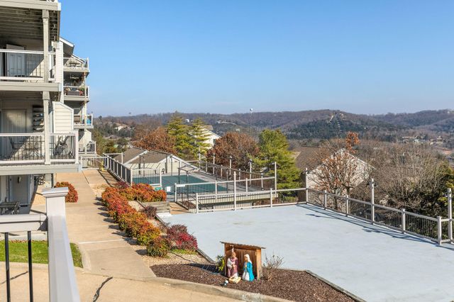 3 Treehouse Lane 1, Indian Point, MO 65616