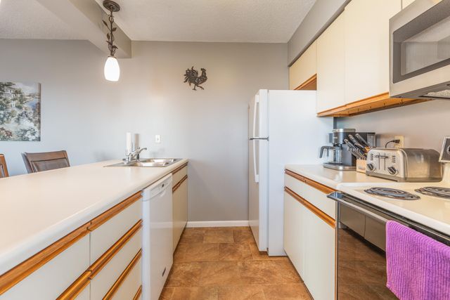 3 Treehouse Lane 1, Indian Point, MO 65616