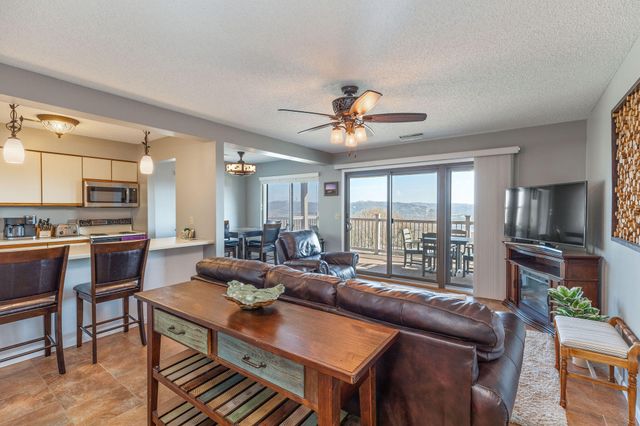 3 Treehouse Lane 1, Indian Point, MO 65616