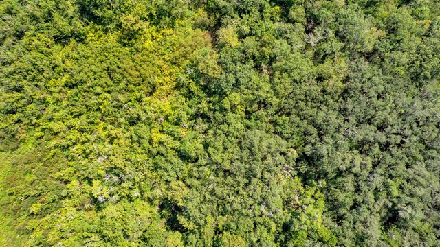 0000 Cummer Road, Deland, FL 32720