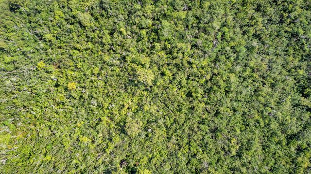 0000 Cummer Road, Deland, FL 32720
