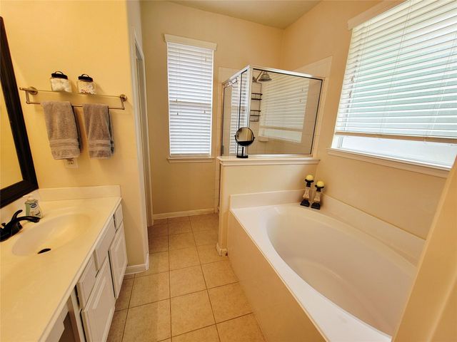 24606 Twisted Birch Court, Spring, TX 77373