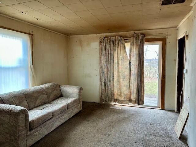 3593 S Maple Island Road, Hesperia, MI 49421