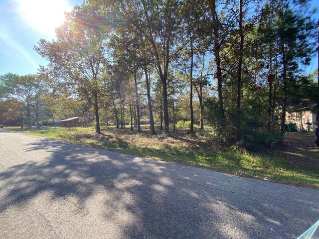 00 Crystal River, Conroe, TX 77316