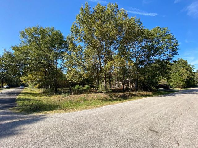 00 Crystal River, Conroe, TX 77316