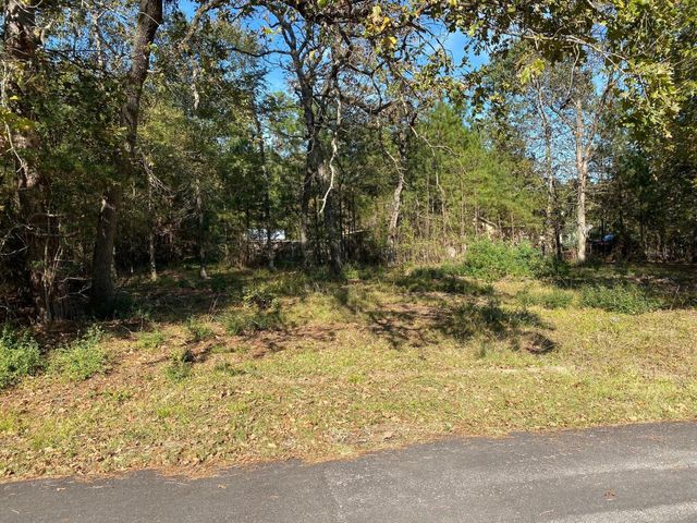 00 Crystal River, Conroe, TX 77316