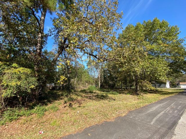 00 Crystal River, Conroe, TX 77316