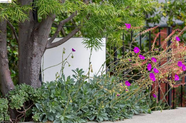 4 Cavendish Ln, Piedmont, CA 94602