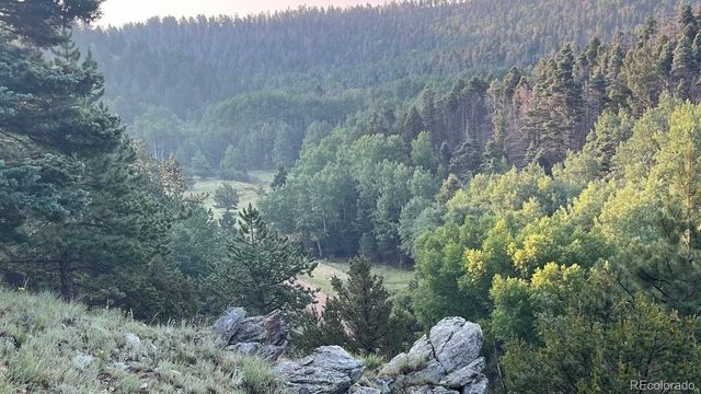 1716 County Road 327, Westcliffe, CO 81252