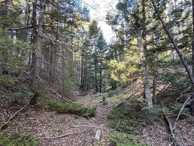 1716 County Road 327, Westcliffe, CO 81252